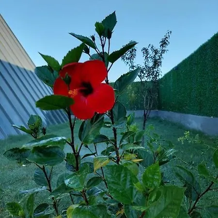 Selale Villa *